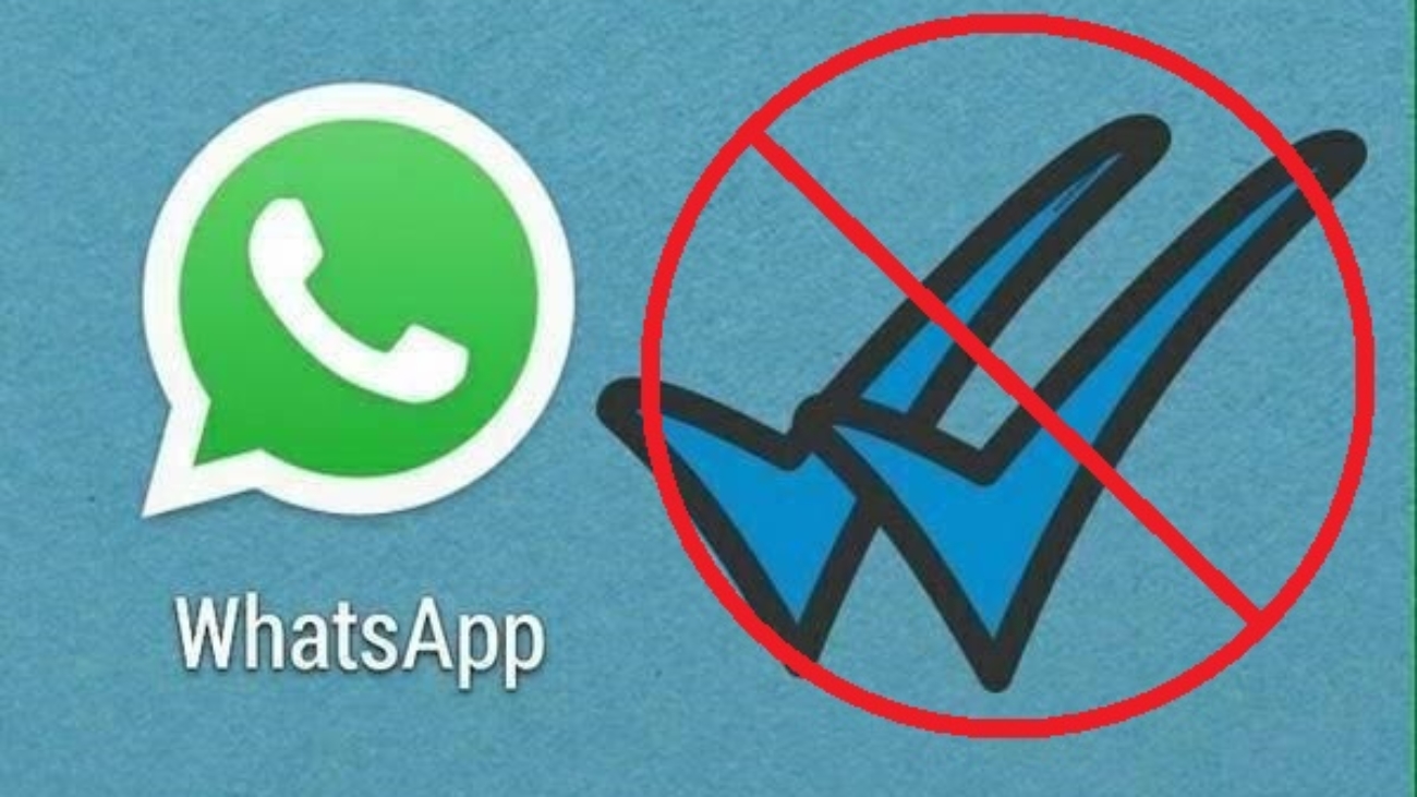 Disable whatsapp blue ticks
